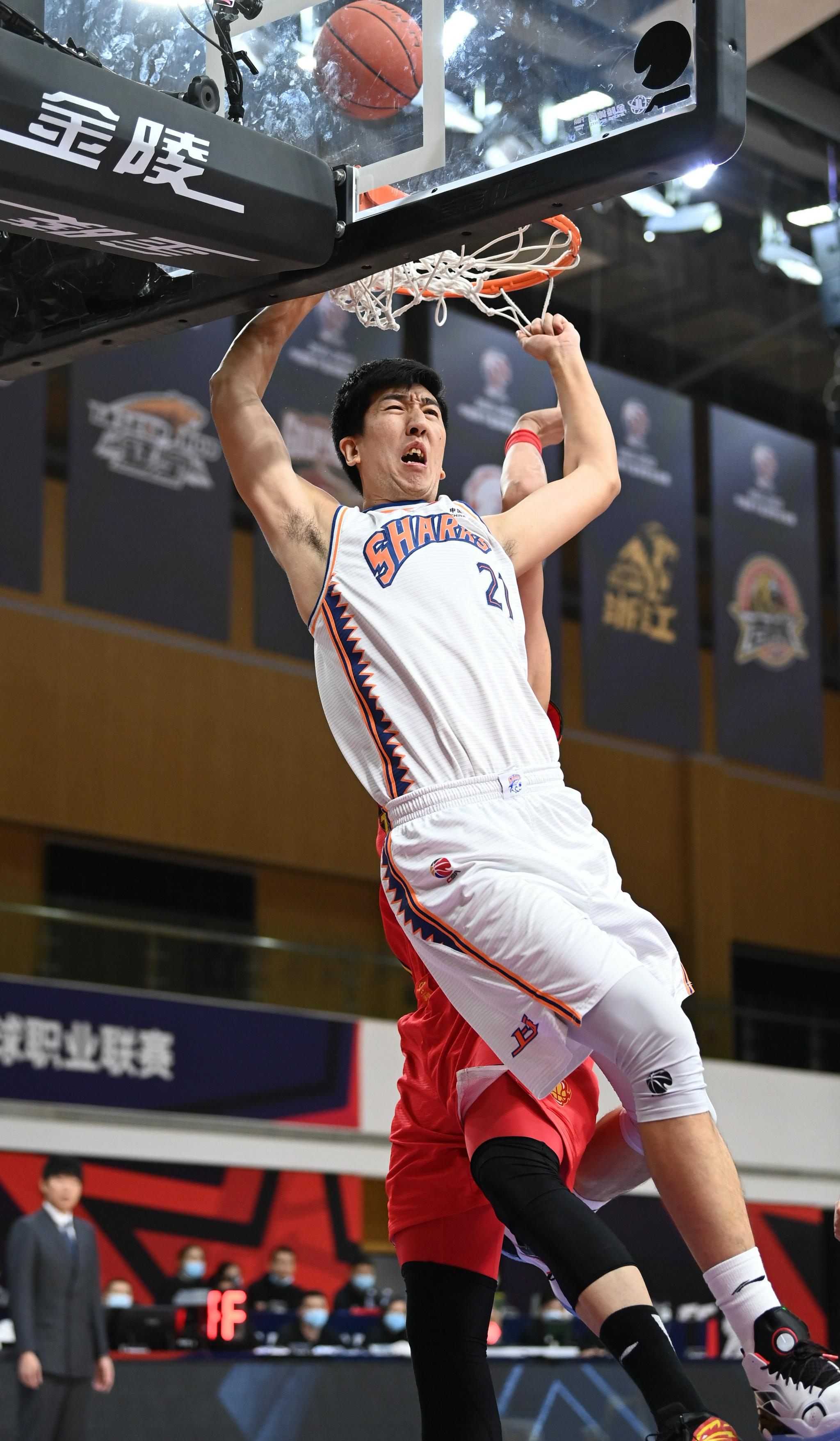 熊猫直播-上海篮球队壮志凌云，谱写辉煌