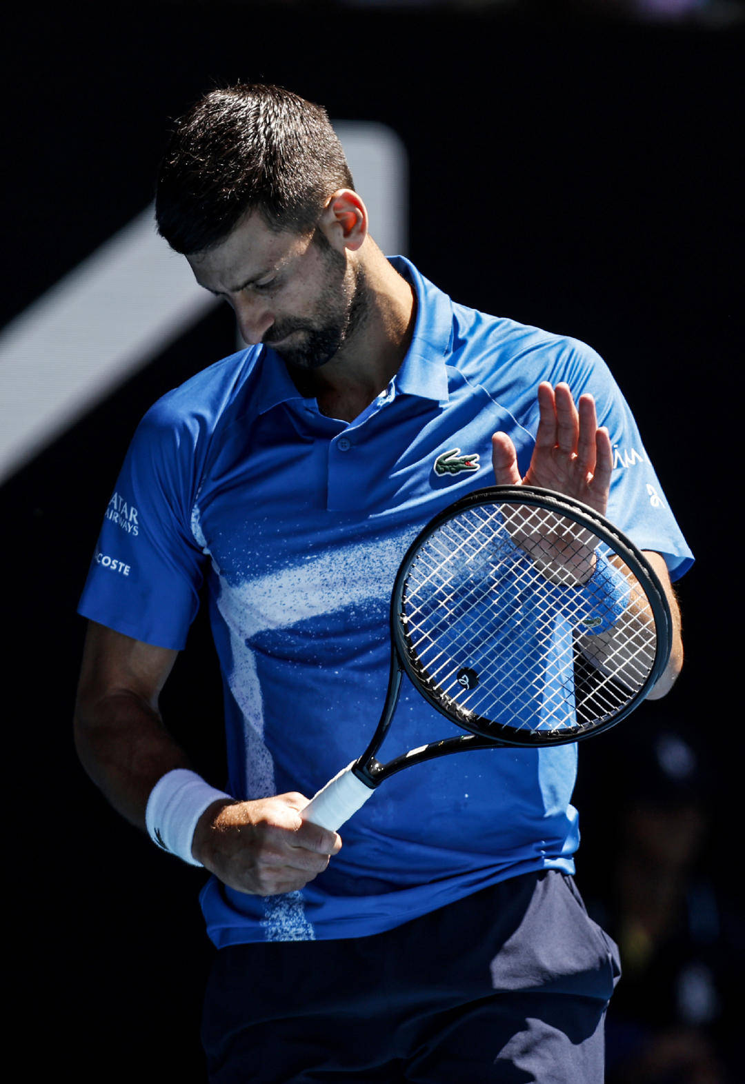 澳网完胜戴维斯杯，穆雷统治全场