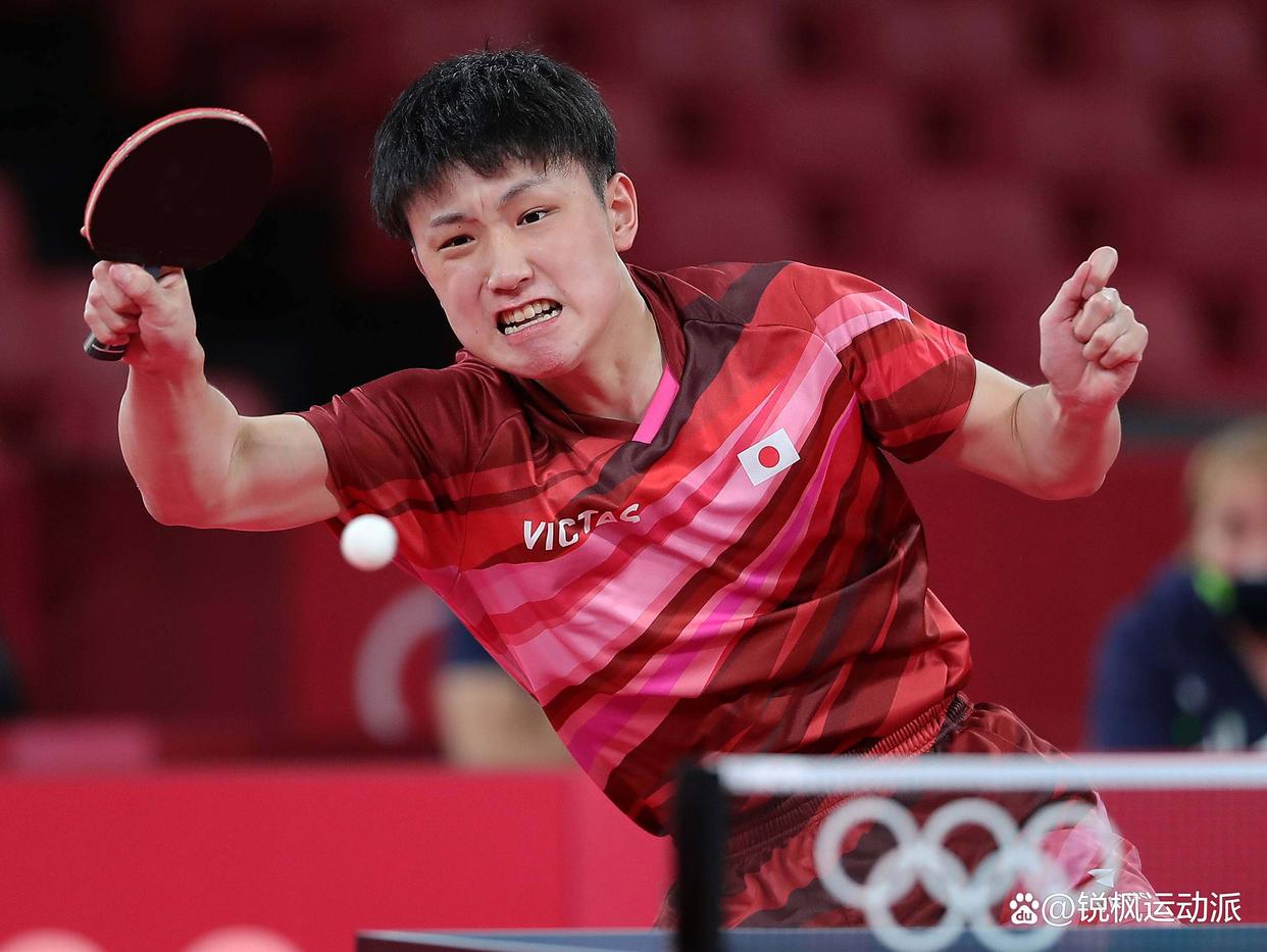 熊猫直播官网-韩国队鏖战德国队，张本智和统治全场的简单介绍